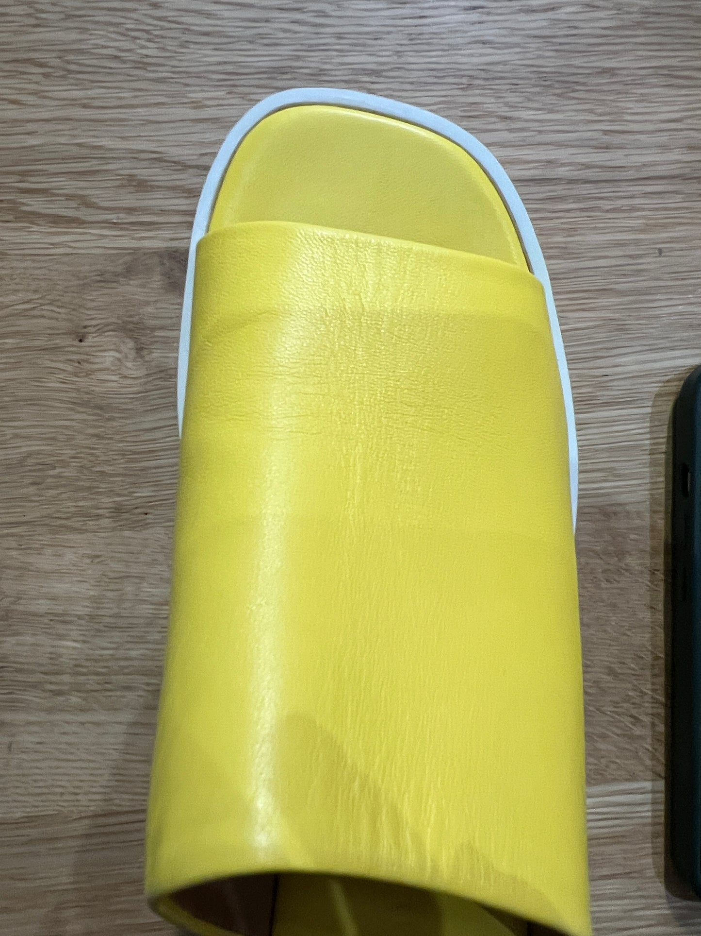 Clergerie Sasha Leather Slides